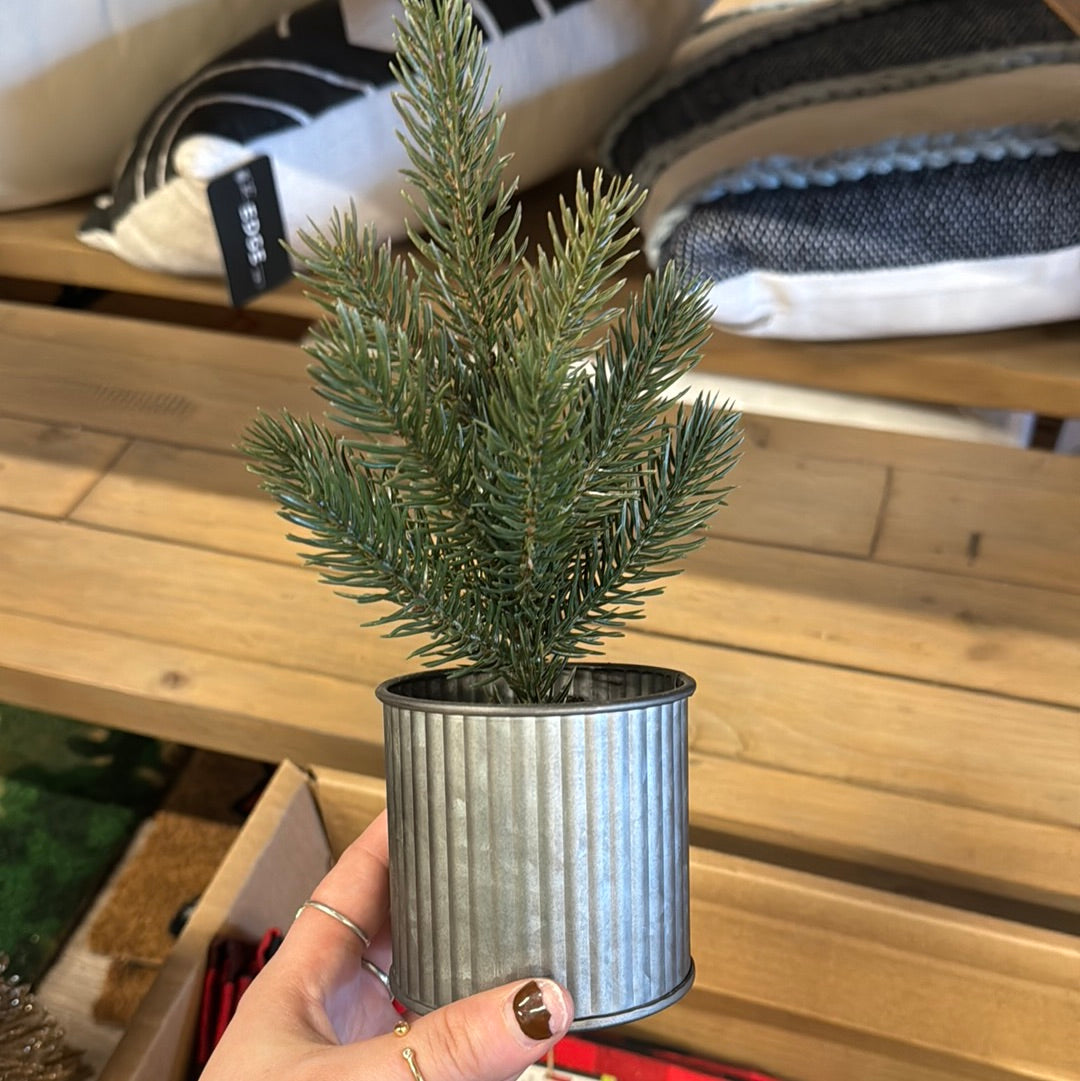 Tin can Tree