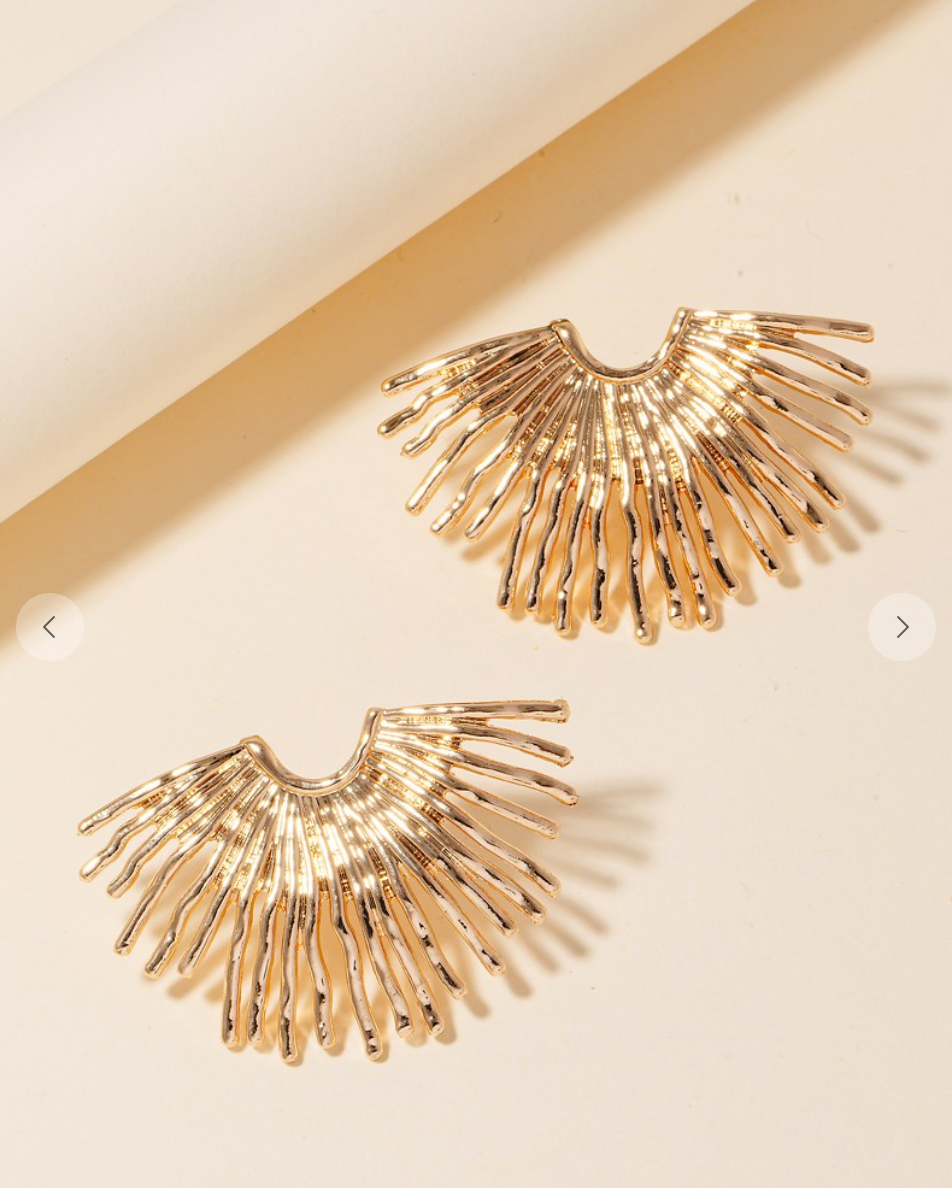 Solid Fringe Earrings