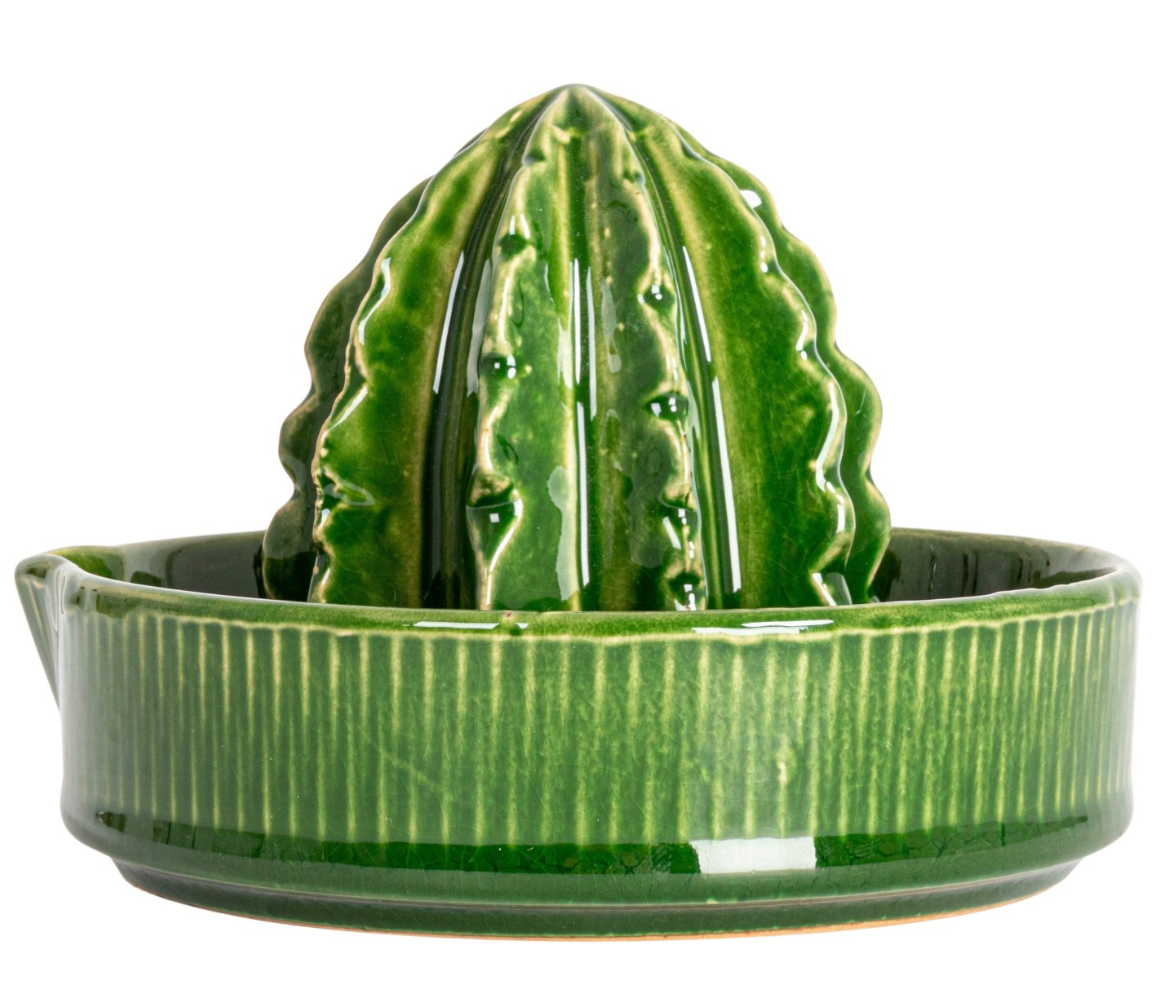 Stoneware Cactus Shaped Juicer