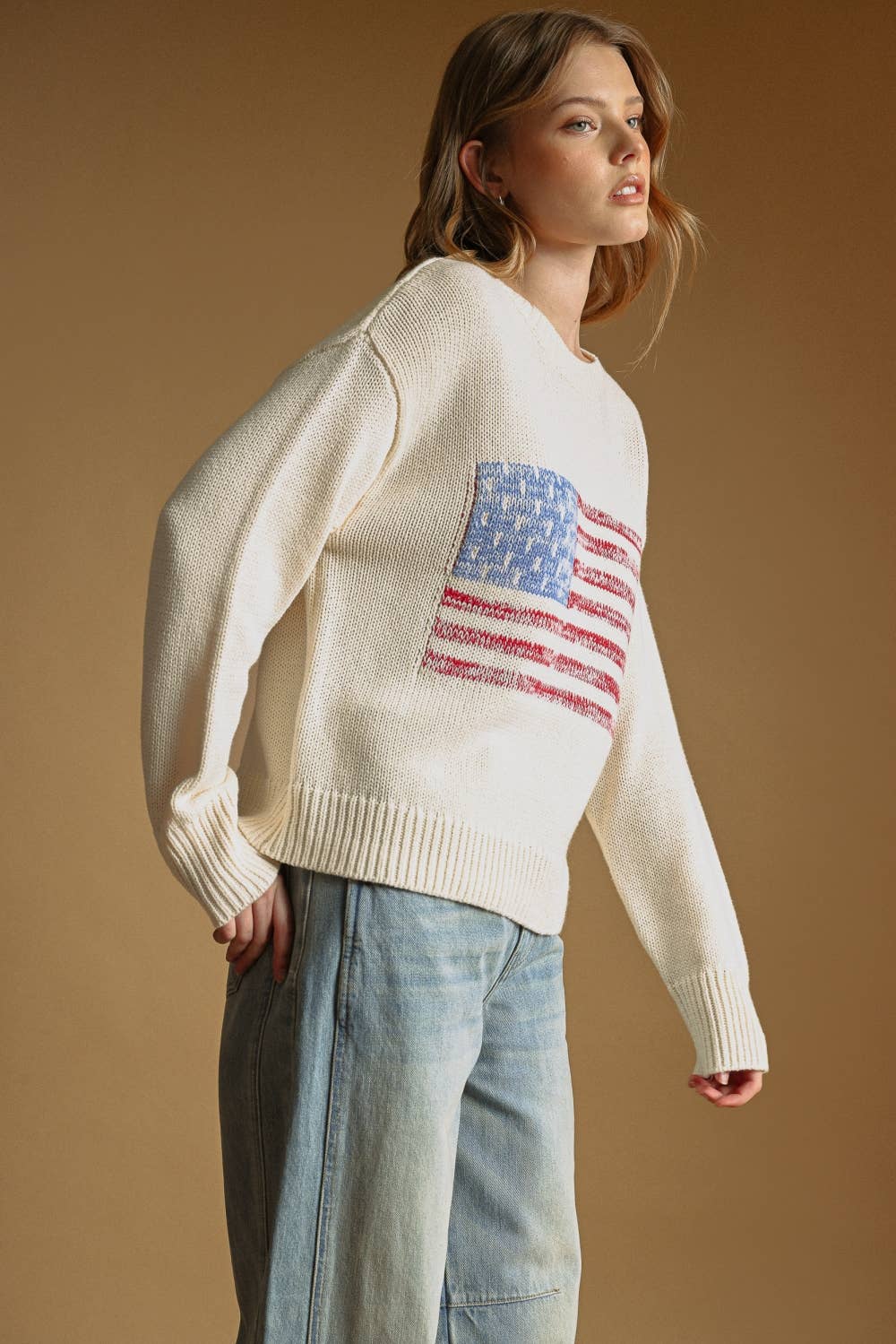 AMERICAN FLAG ROUND NECK SWEATER TOP