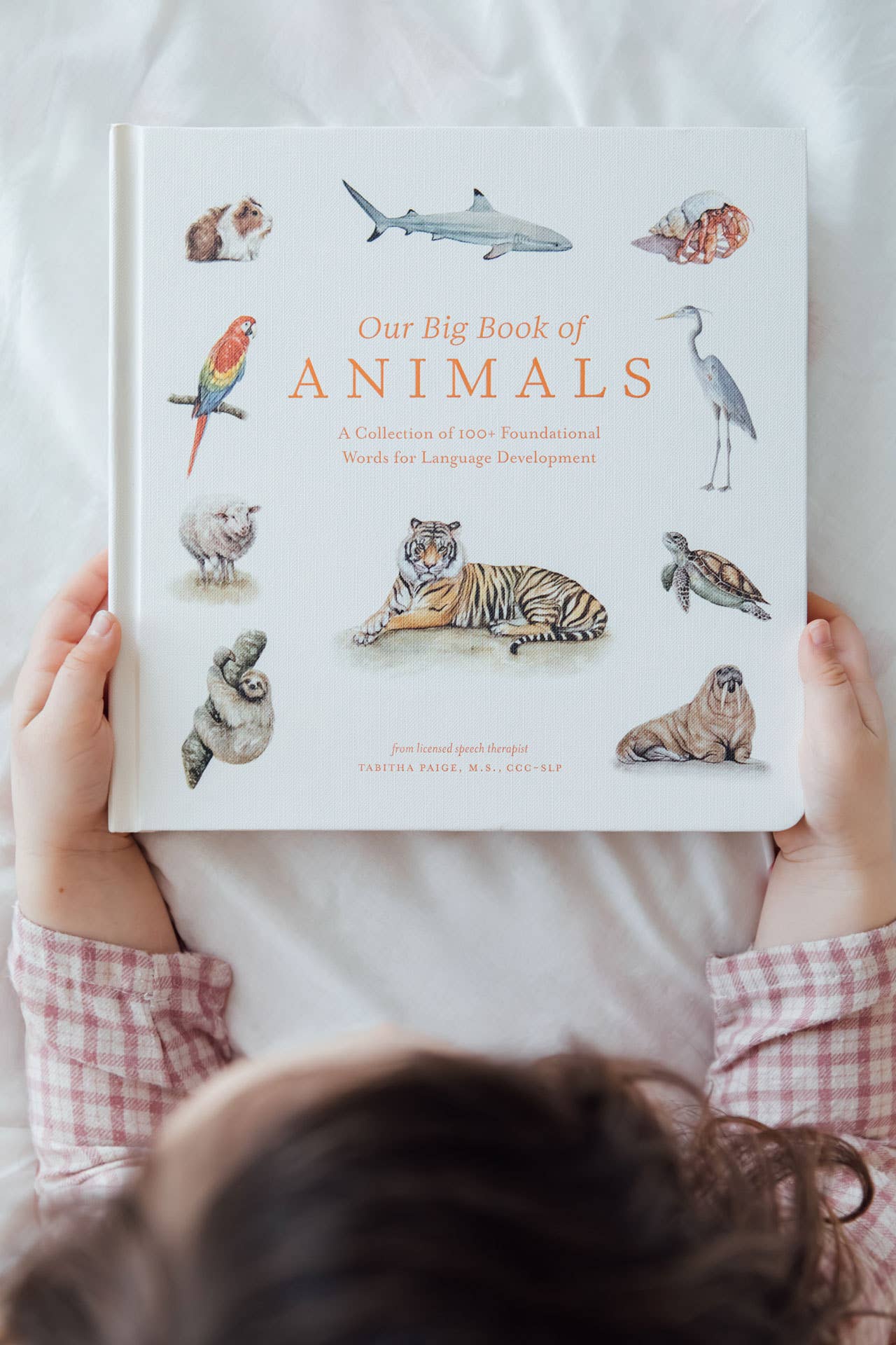 Our Big Book of Animals - Board Book