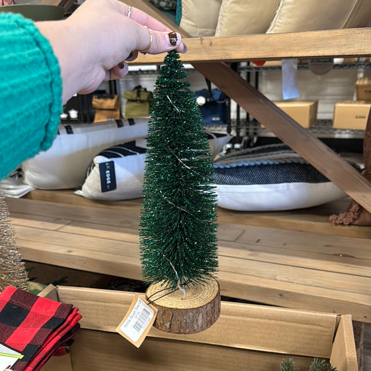Bottle Brush Tree