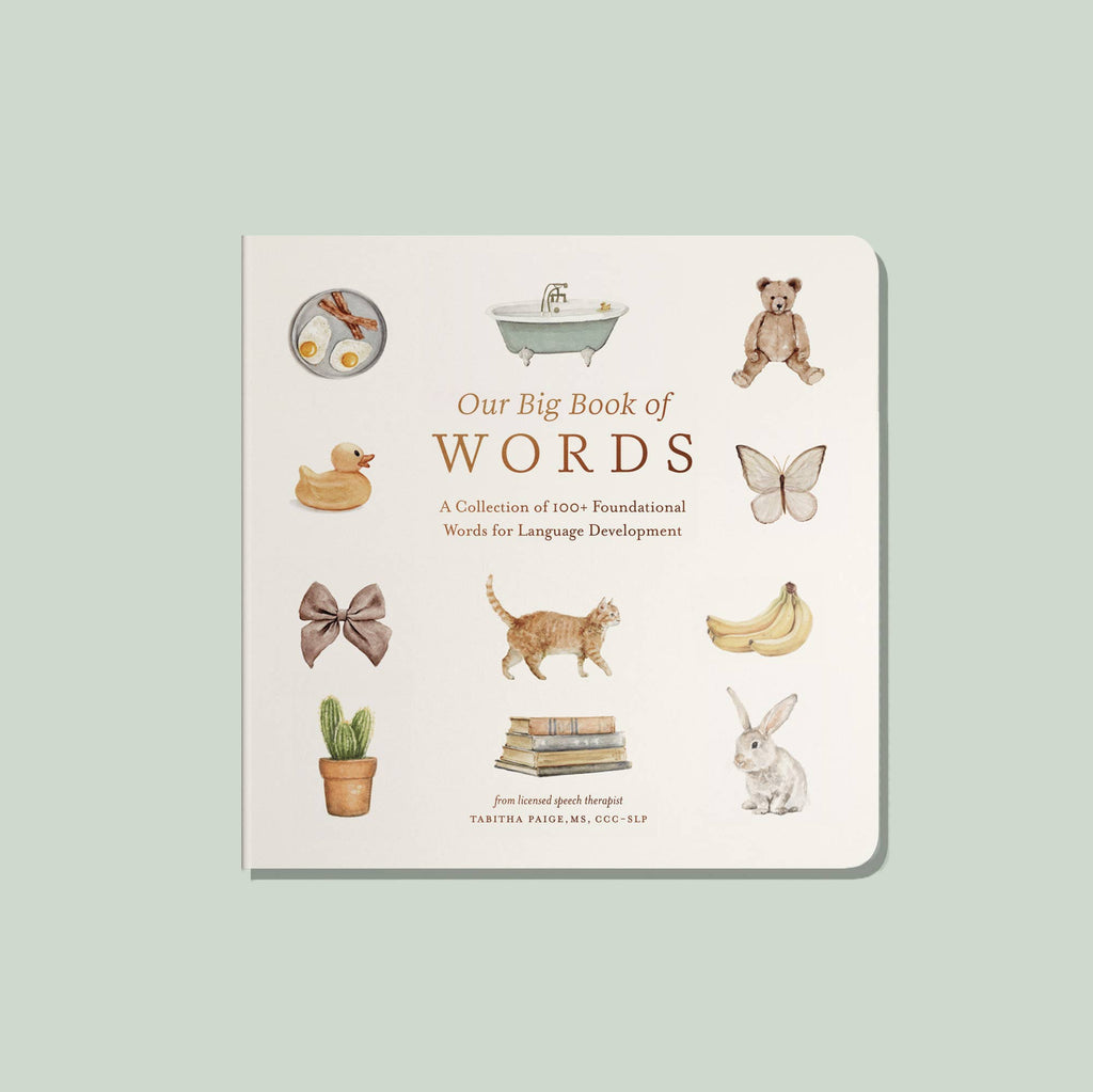 Our Big Book of First Words - Board Book