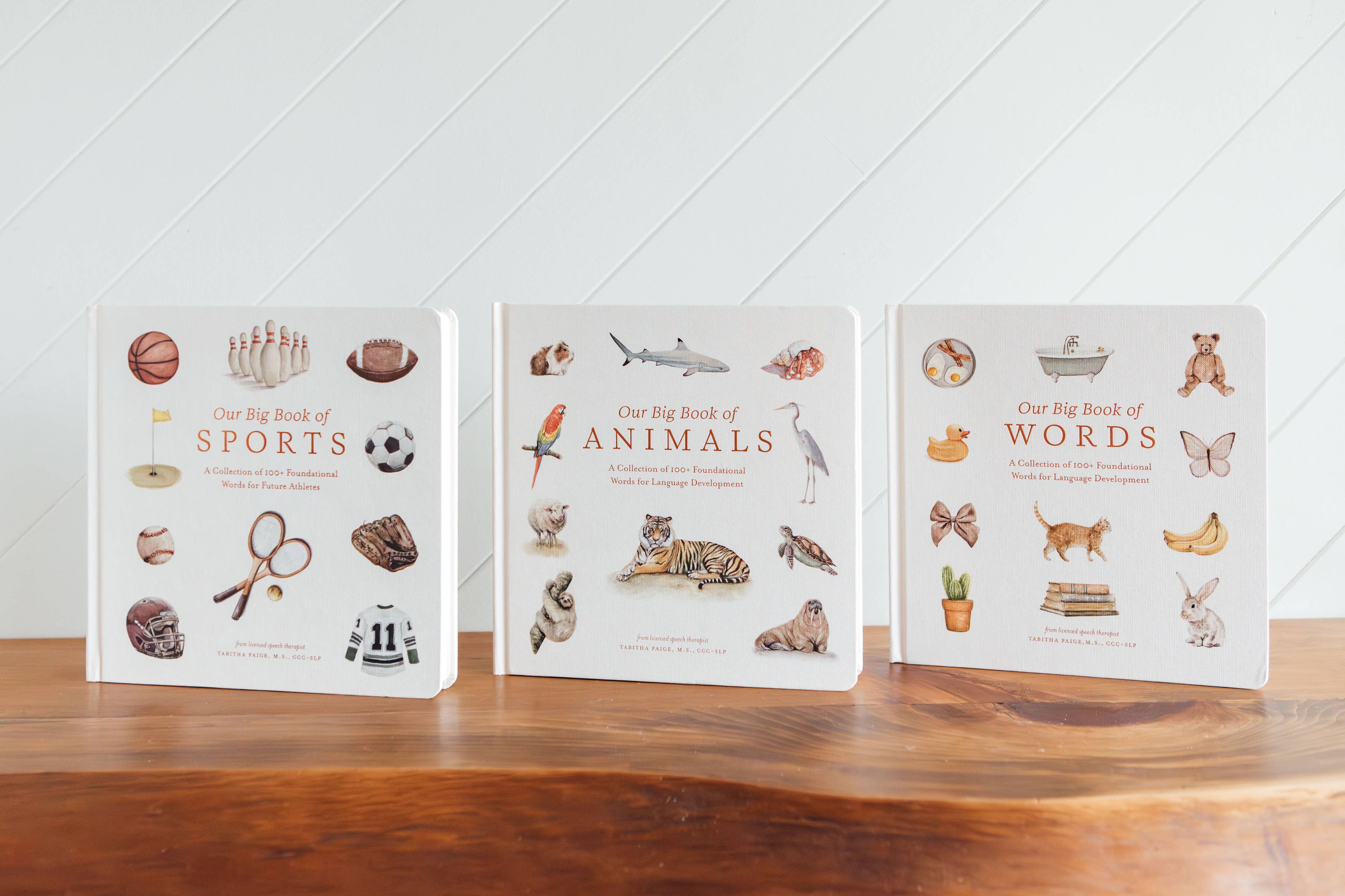 Our Big Book of Sports - Board Book