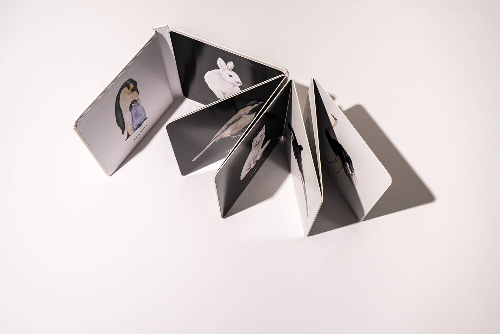 Black and White Contrast Folding Book