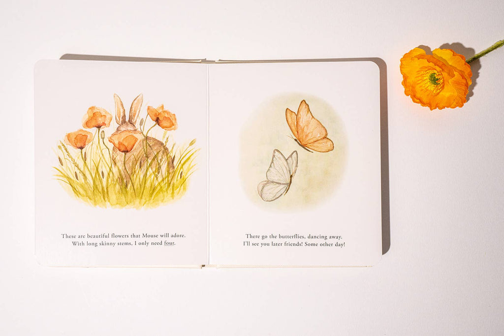 Our Little Adventures - Board Book Box Set