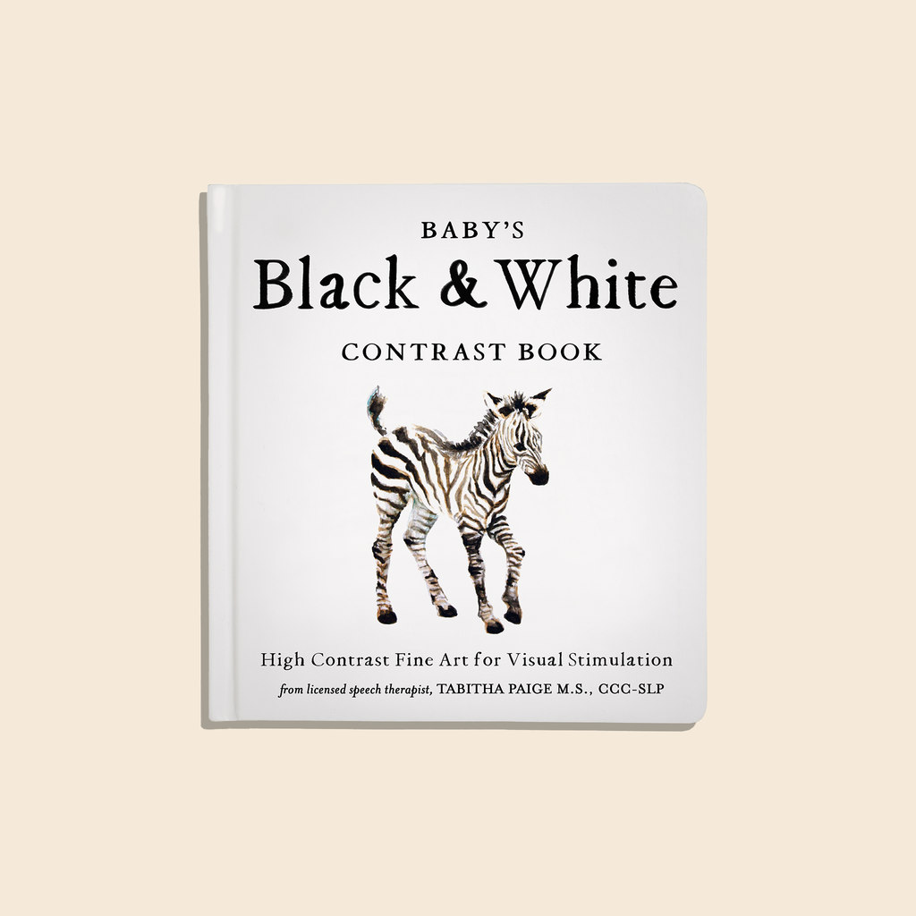 Black and White Contrast Folding Book
