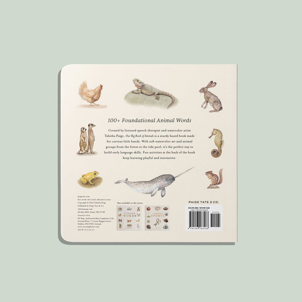 Our Big Book of Animals - Board Book