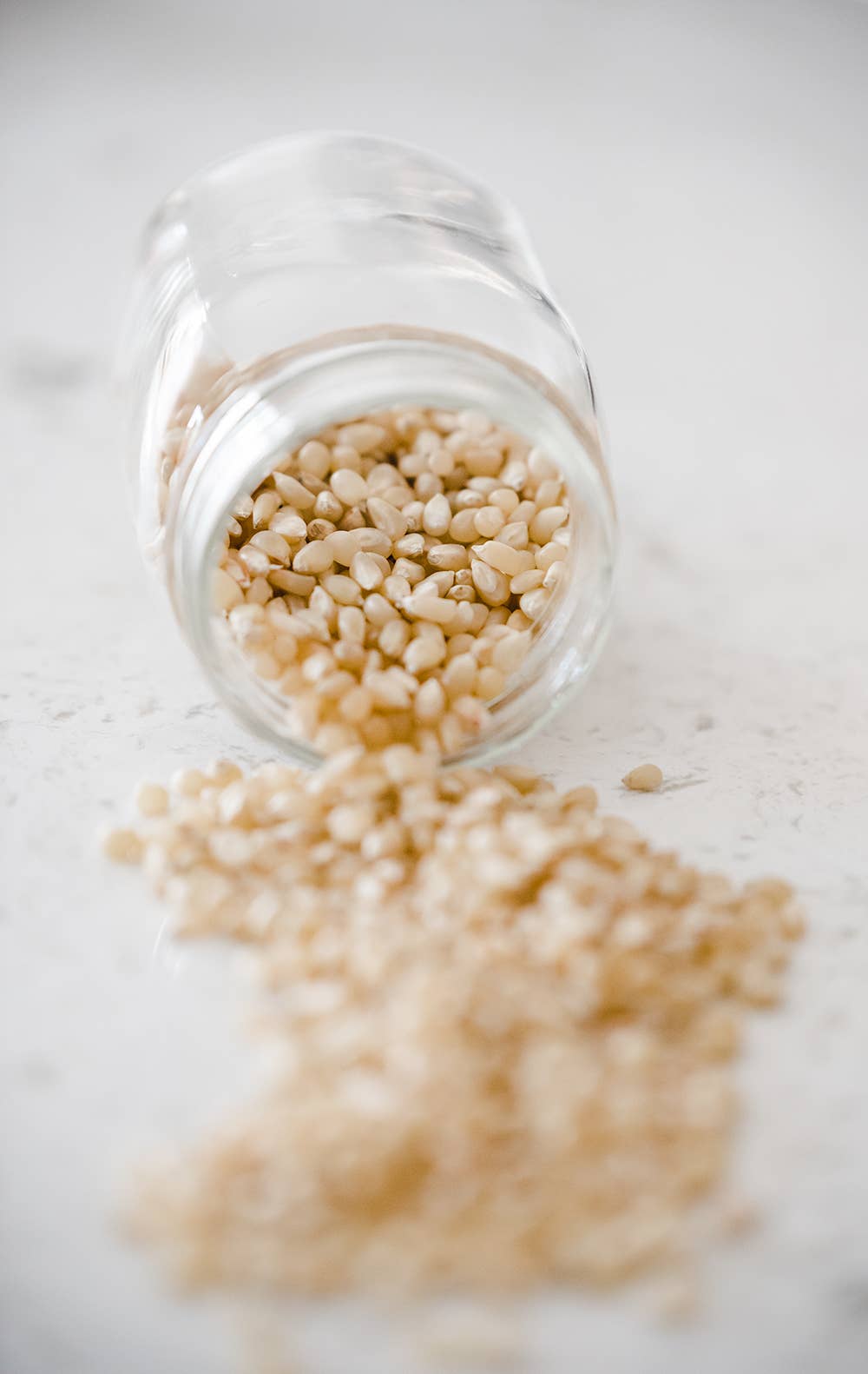 Medium White Popcorn - 14oz Bottle