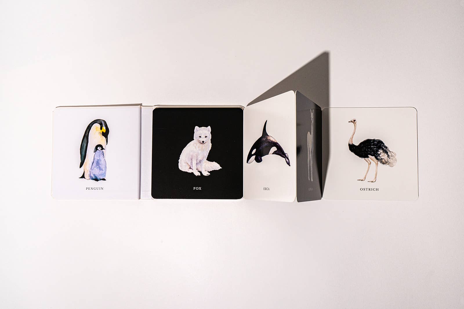 Black and White Contrast Folding Book