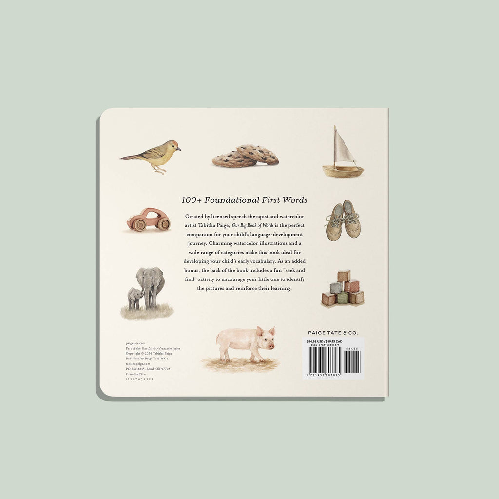 Our Big Book of First Words - Board Book