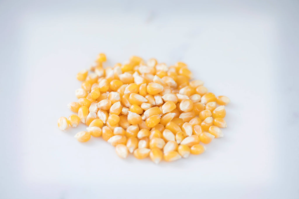 Medium Yellow Popcorn - 14oz Bottle