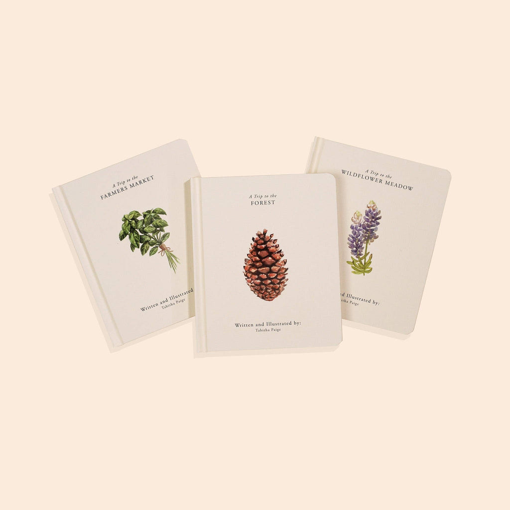 Our Little Adventures - Board Book Box Set