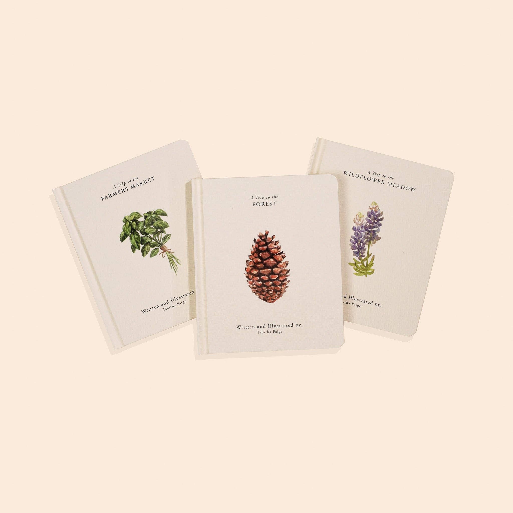 Our Little Adventures - Board Book Box Set