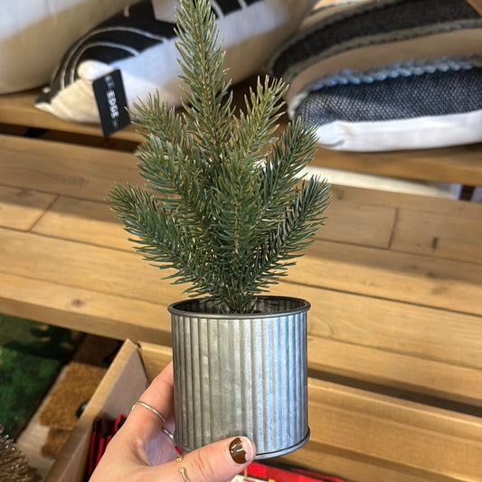 Tin can Tree
