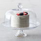 Jupiter Glass Cake Dome