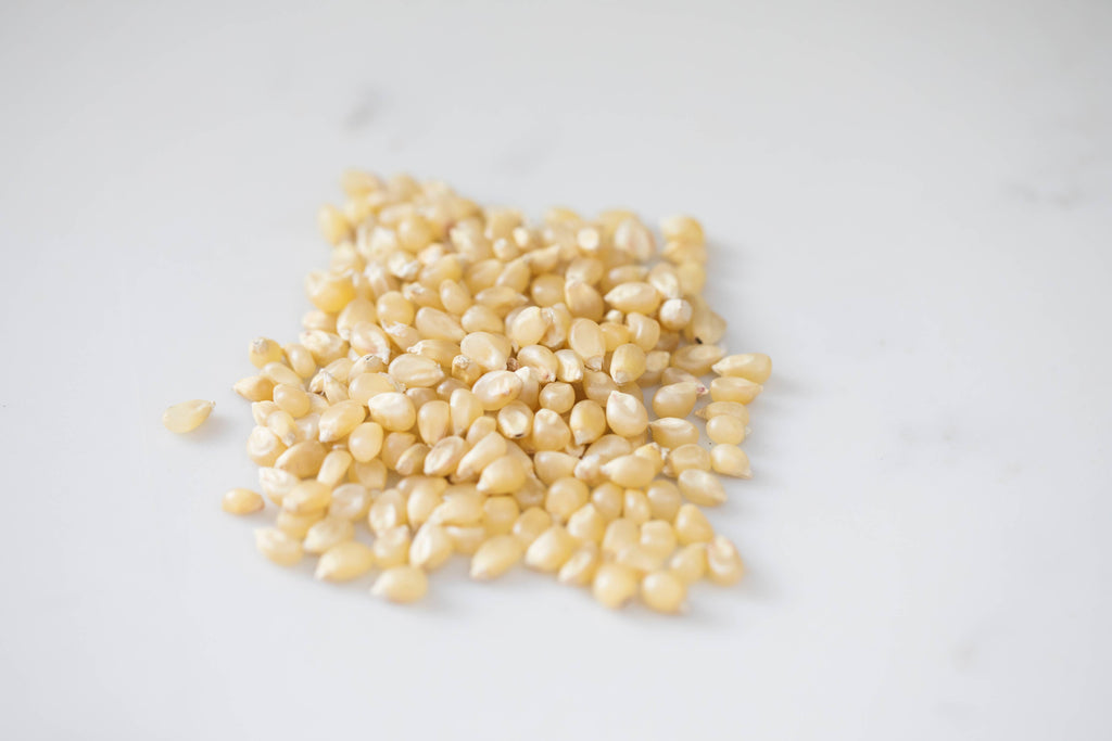Medium White Popcorn - 14oz Bottle
