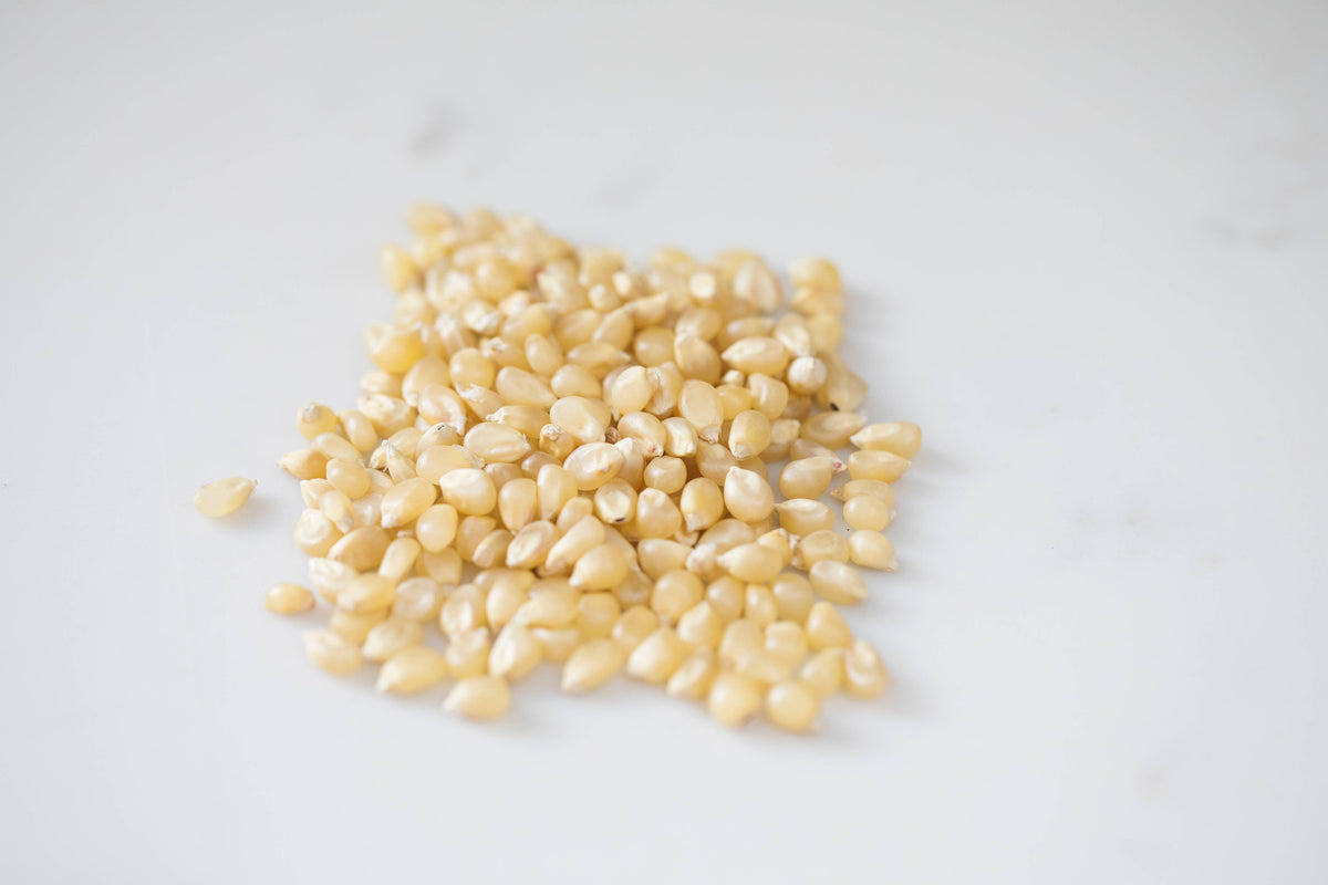 Medium White Popcorn - 14oz Bottle