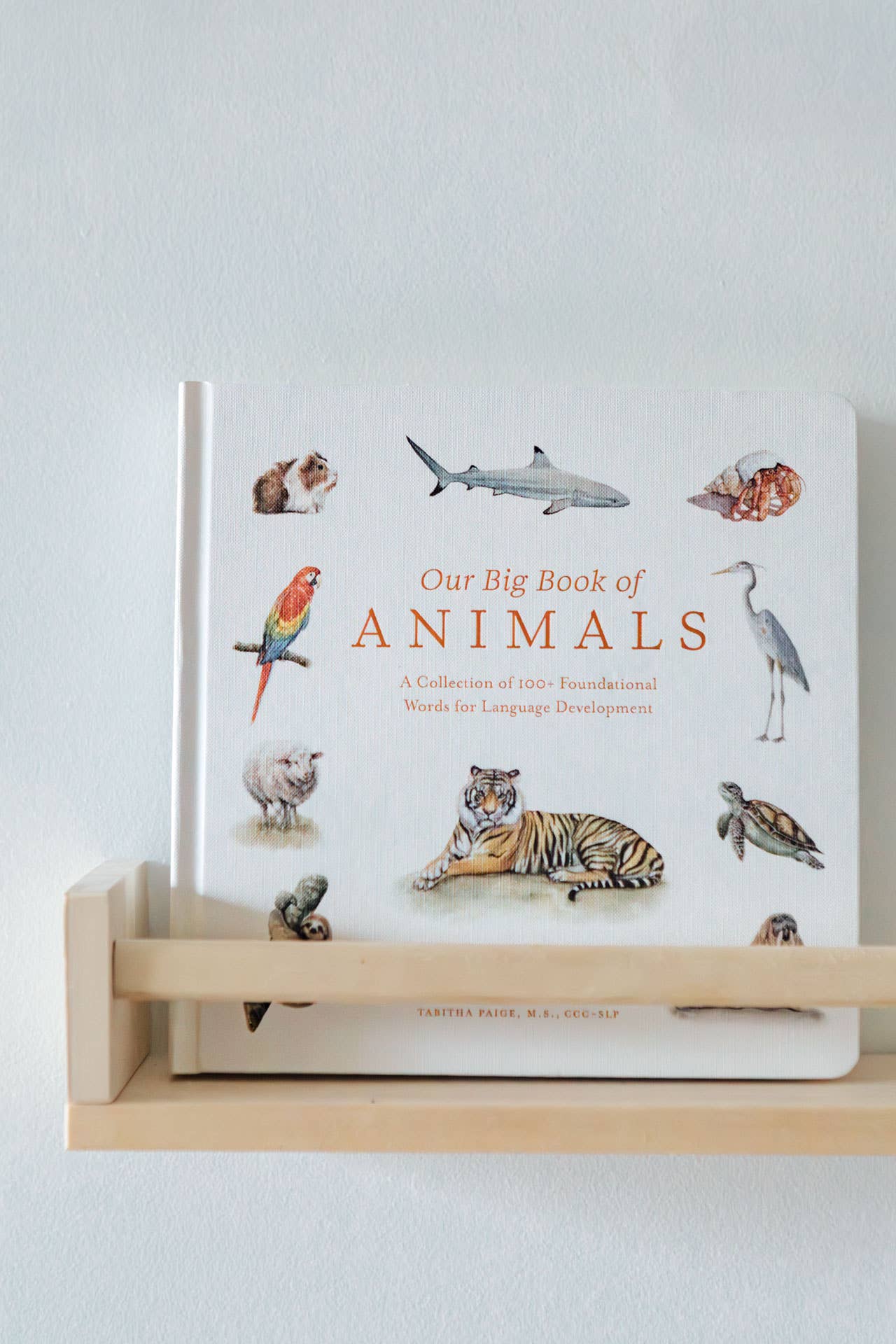 Our Big Book of Animals - Board Book
