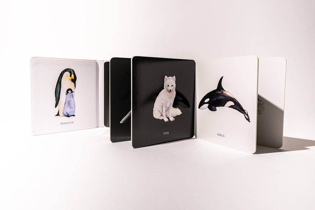 Black and White Contrast Folding Book