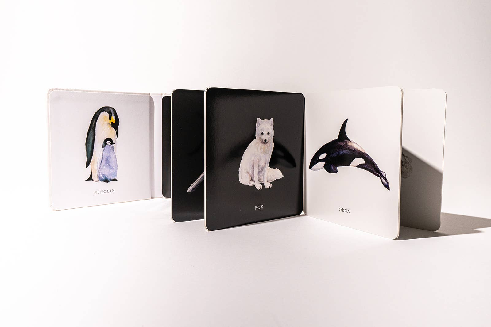 Black and White Contrast Folding Book