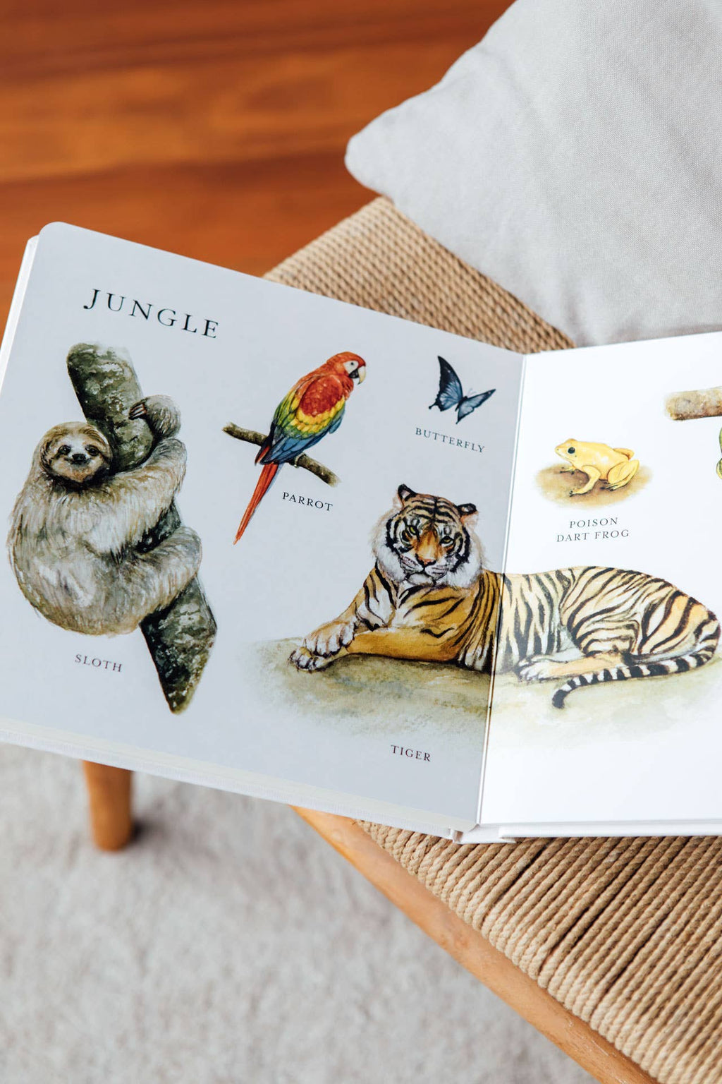 Our Big Book of Animals - Board Book