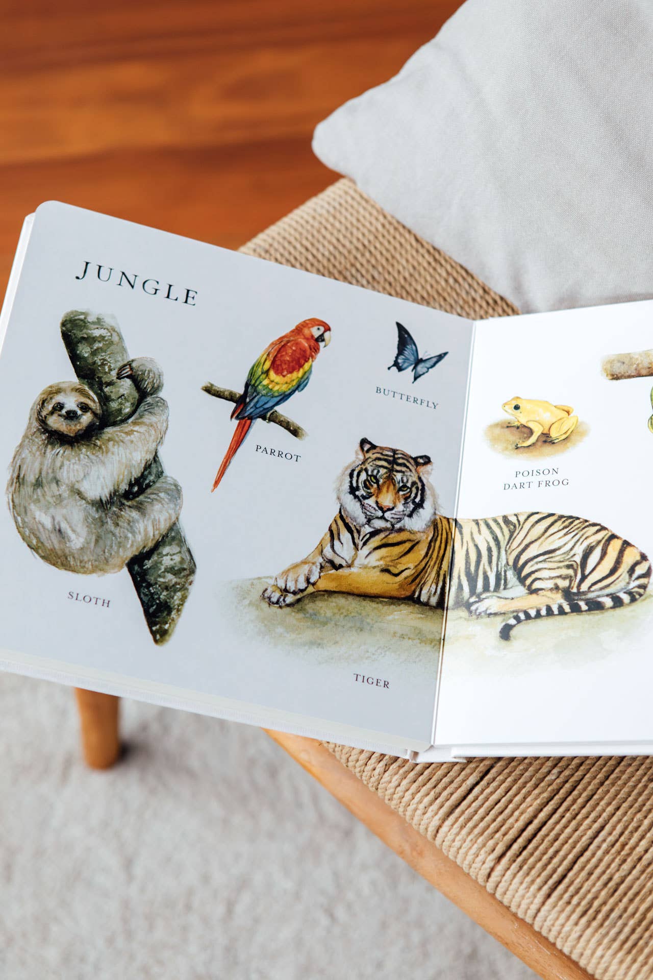 Our Big Book of Animals - Board Book