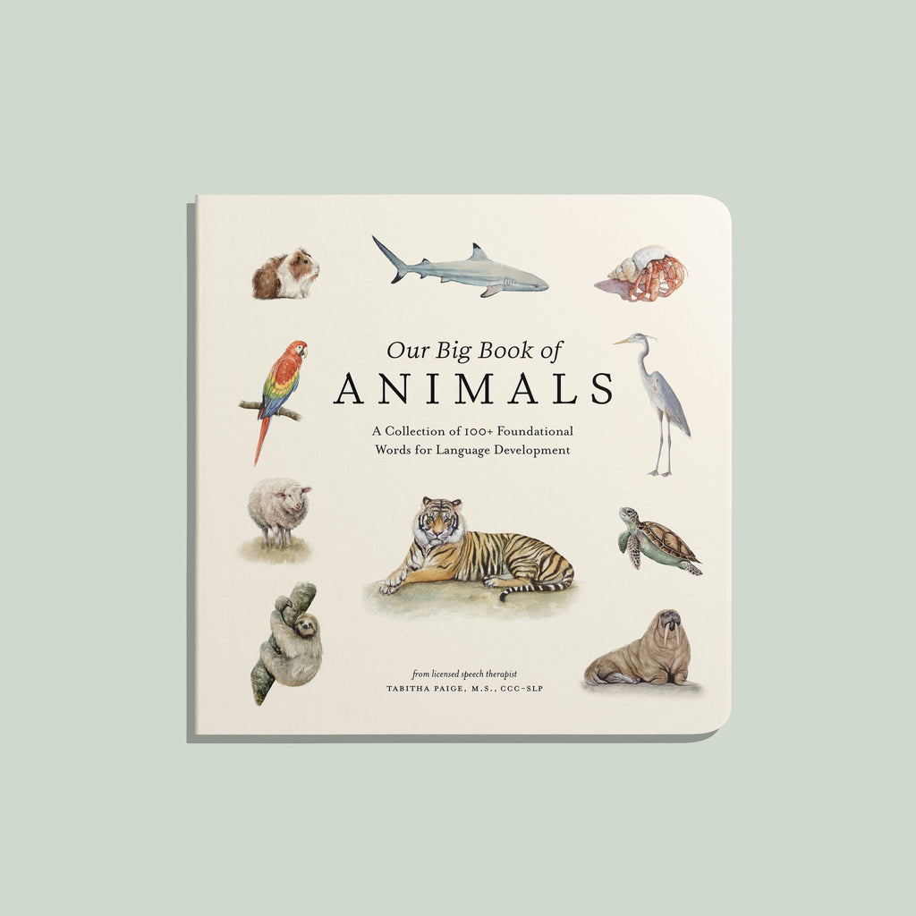 Our Big Book of Animals - Board Book