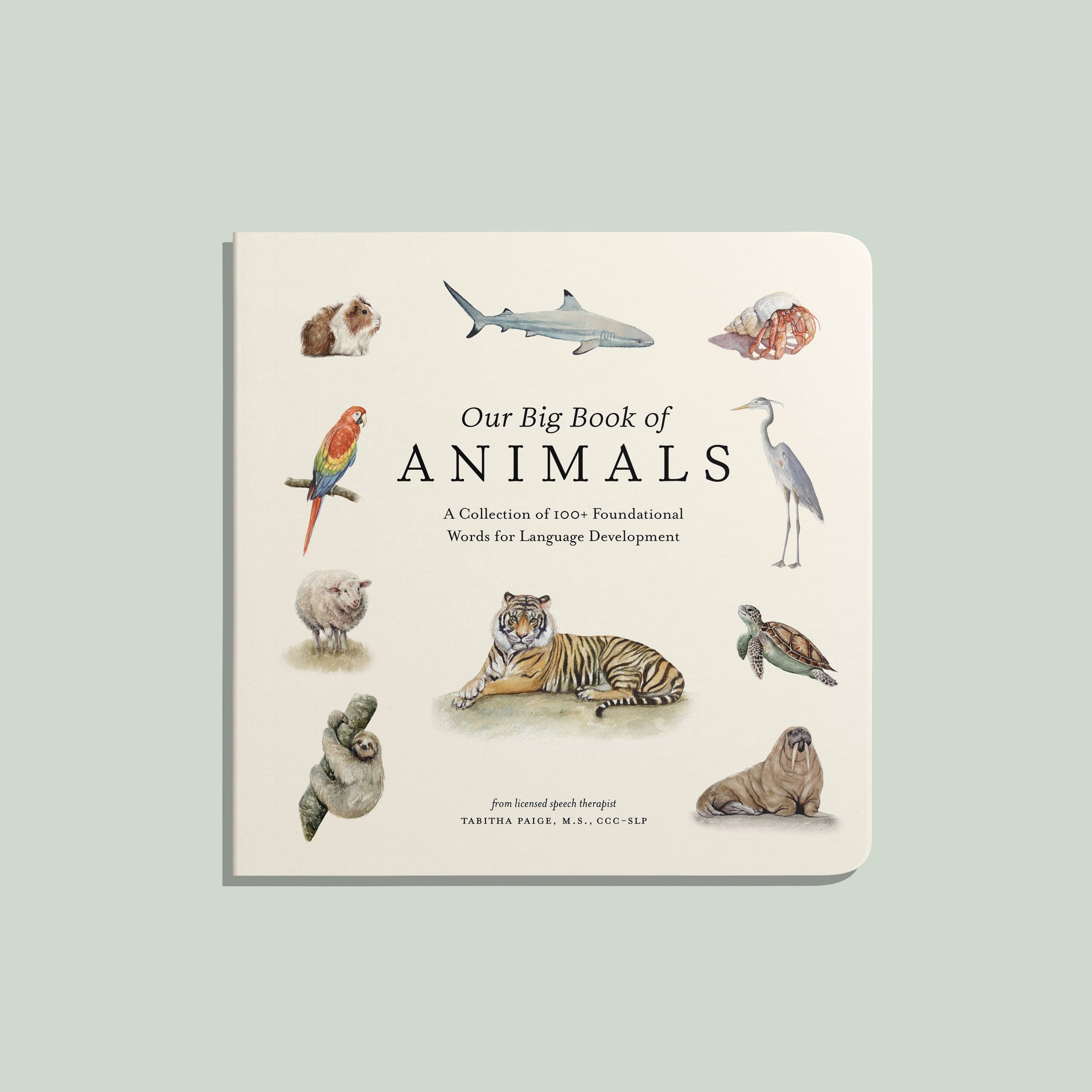 Our Big Book of Animals - Board Book