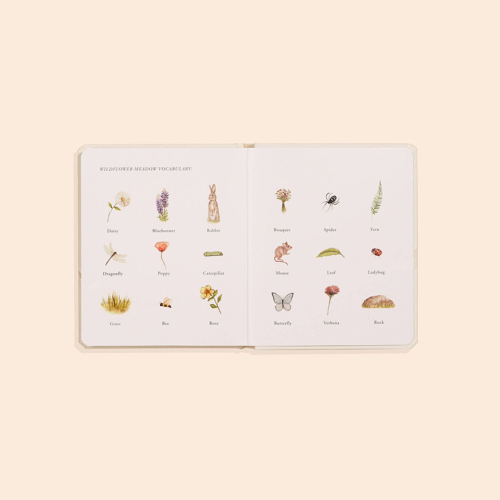 Our Little Adventures - Board Book Box Set
