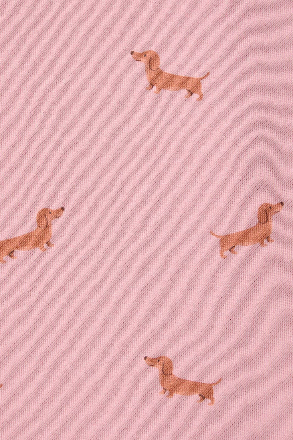 Dog Print Sweatshorts