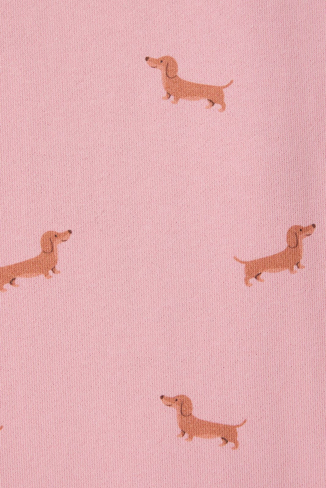 Dog Print Sweatshorts