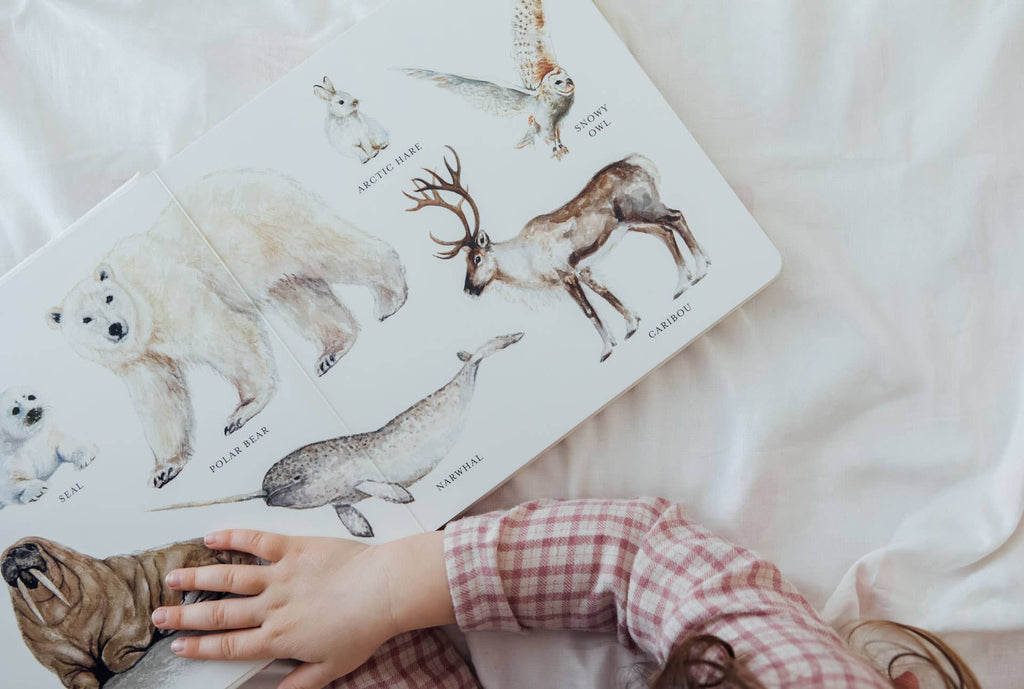 Our Big Book of Animals - Board Book