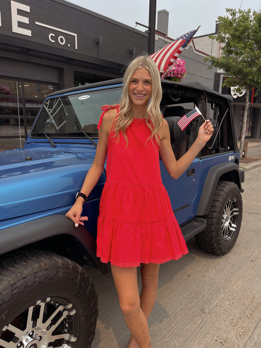 Spin Me Around Dress