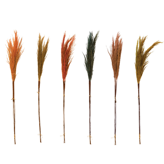 Dried Pampas Grass Bunch