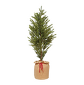 Faux Scots Pine Tree in Paper Sack